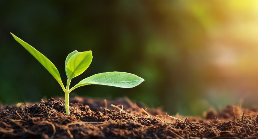 Aquanova AG Earns EcoVadis Silver Medal